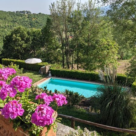 Agriturismo Casentino - Fattoria Ventrina Martina Eksteriør billede