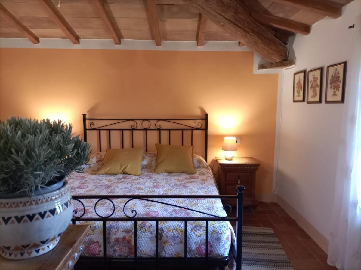 Agriturismo Casentino - Fattoria Ventrina Martina Eksteriør billede