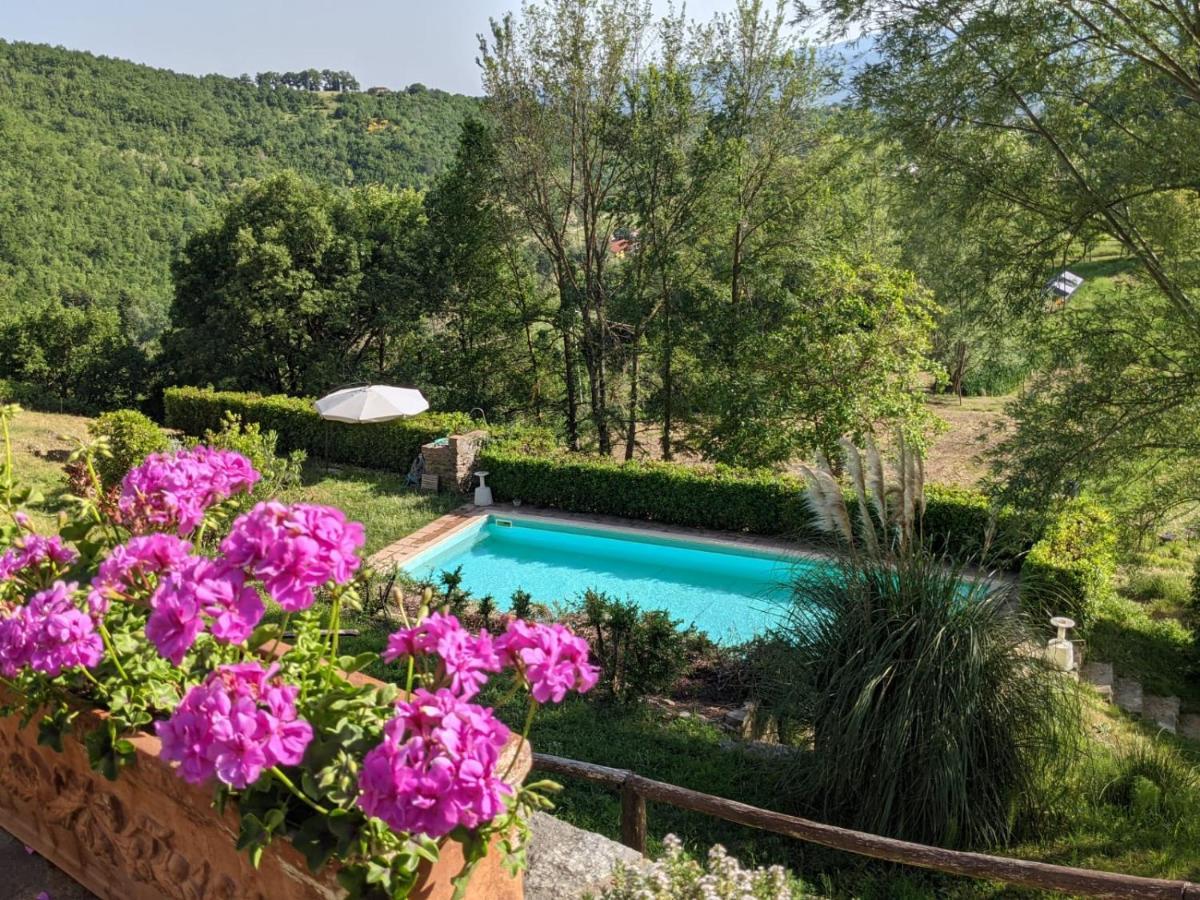 Agriturismo Casentino - Fattoria Ventrina Martina Eksteriør billede