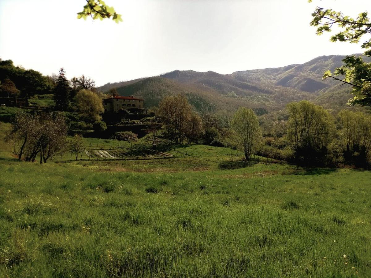 Agriturismo Casentino - Fattoria Ventrina Martina Eksteriør billede