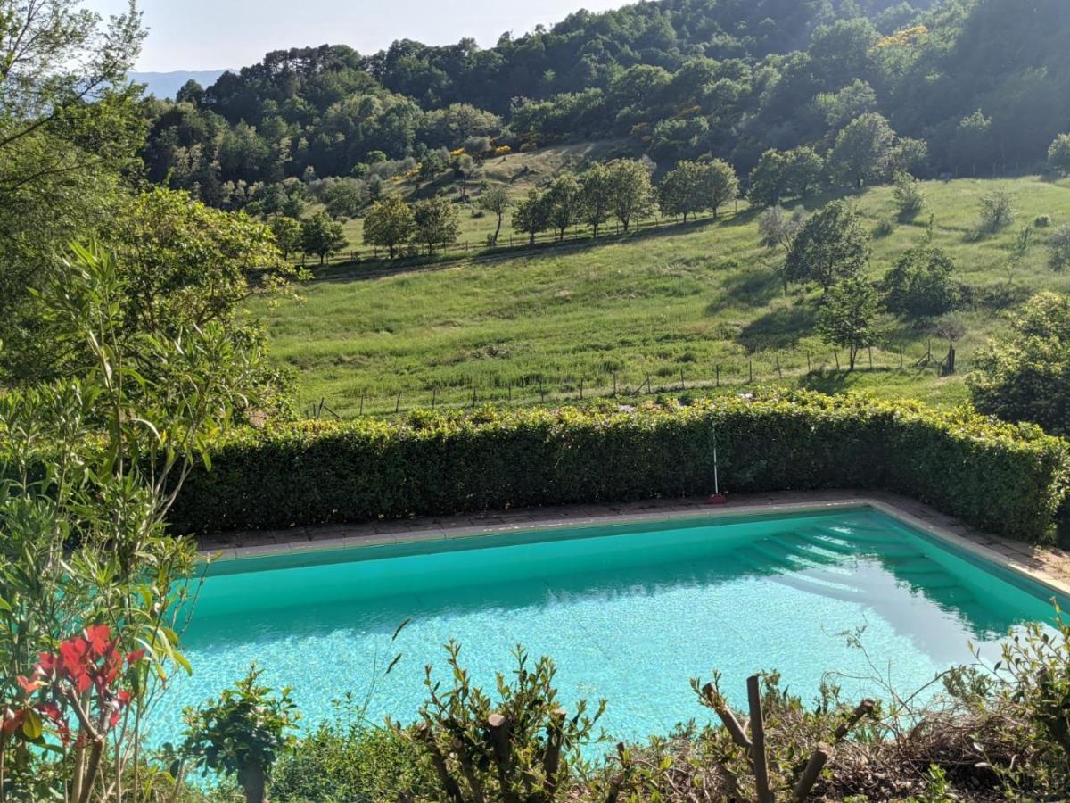 Agriturismo Casentino - Fattoria Ventrina Martina Eksteriør billede