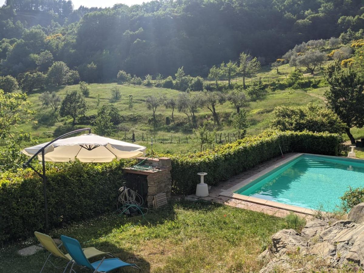 Agriturismo Casentino - Fattoria Ventrina Martina Eksteriør billede