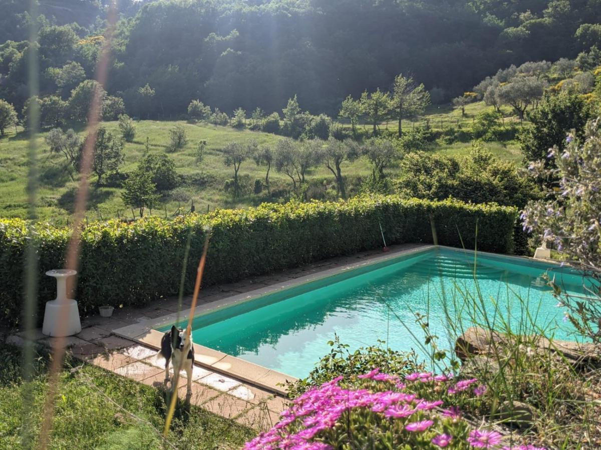 Agriturismo Casentino - Fattoria Ventrina Martina Eksteriør billede