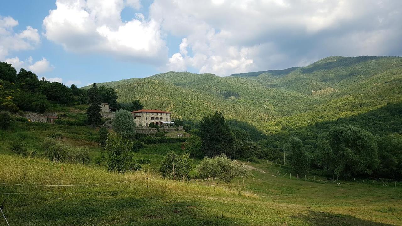 Agriturismo Casentino - Fattoria Ventrina Martina Eksteriør billede