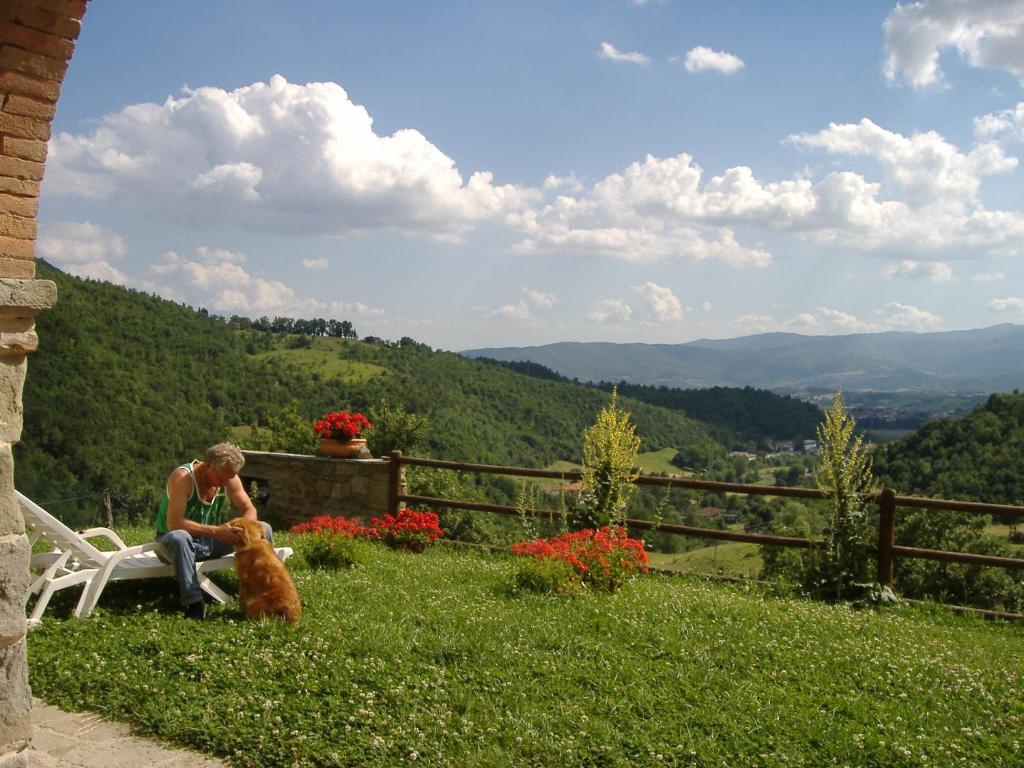 Agriturismo Casentino - Fattoria Ventrina Martina Eksteriør billede